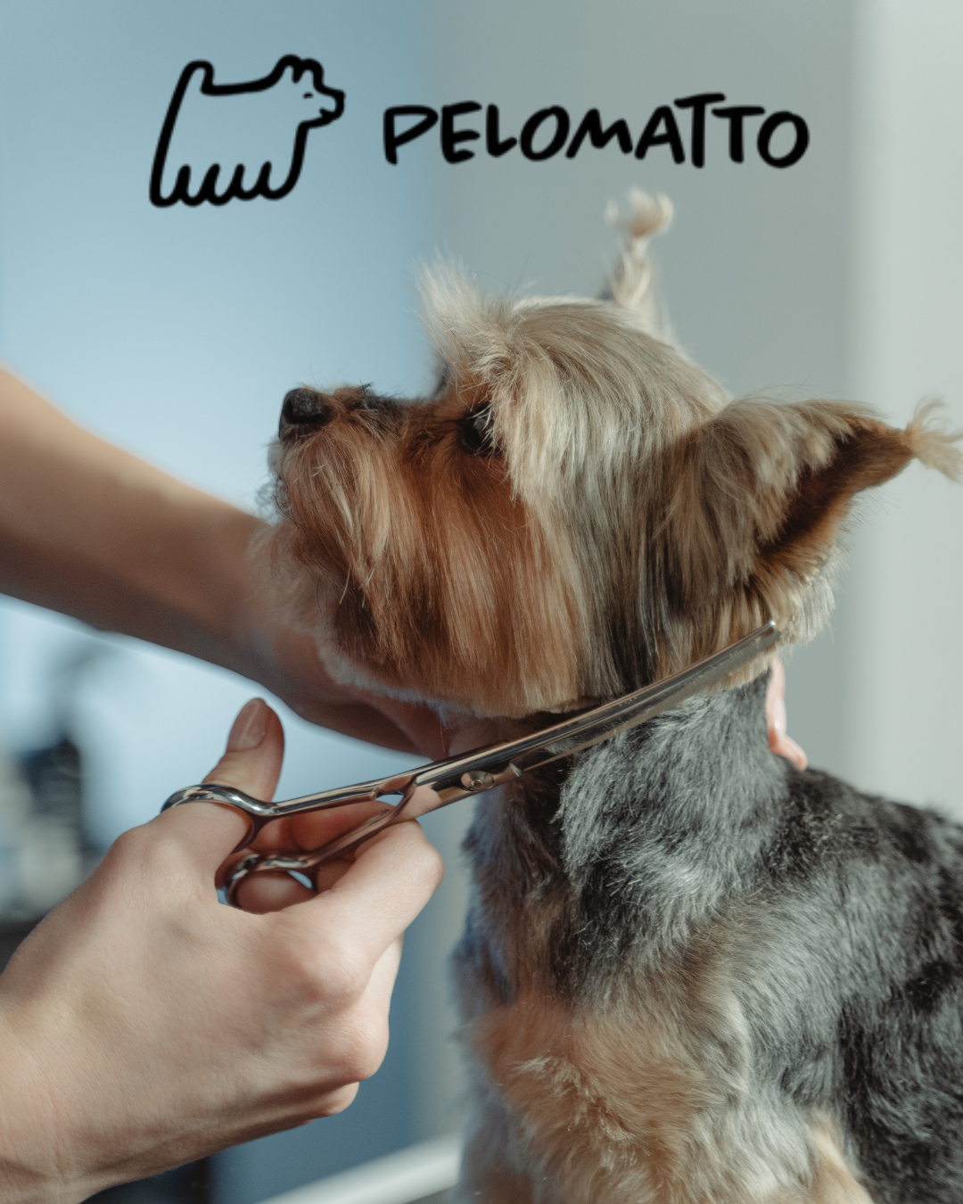PELOMATTO